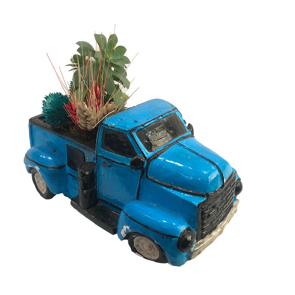 mini-kamyonet-tereryum